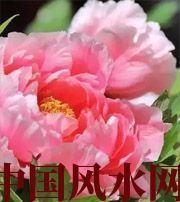 咸宁预示你财运上升，姻缘可成的梦境，快来看看吧！