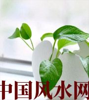 咸宁家中摆放六种吉祥物，会打开您的财运大门！
