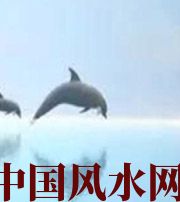 咸宁做梦梦到这些，是要富裕的征兆！